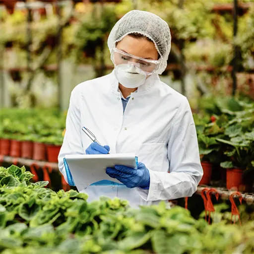 Food Safety